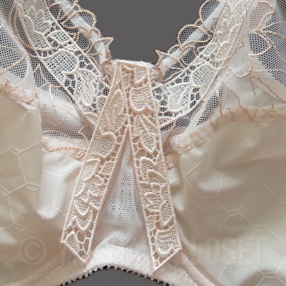 Empreinte 46D Lucy 07116 Full-Cup Unpadded Underwire French Lace Bra in Blush - Picture 7 of 16